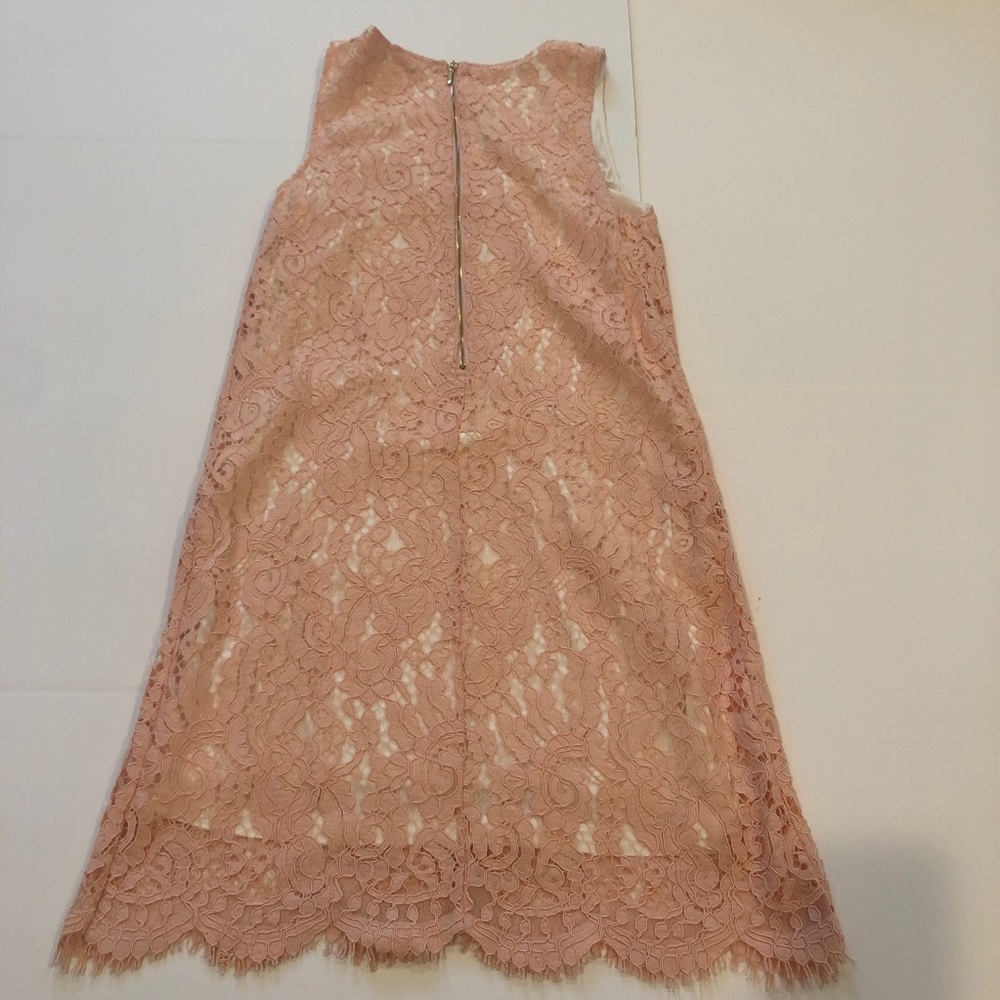 Tart Lace Dress - Picture 2 of 5